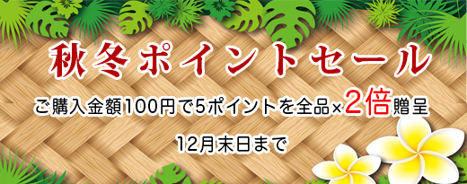ポイントサービス実施中
